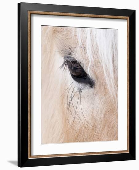 Close-Up of a Horse?S Eye, Lapland, Finland-Nadia Isakova-Framed Photographic Print