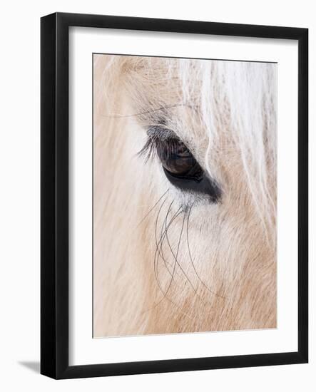 Close-Up of a Horse?S Eye, Lapland, Finland-Nadia Isakova-Framed Photographic Print