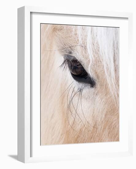 Close-Up of a Horse?S Eye, Lapland, Finland-Nadia Isakova-Framed Photographic Print