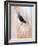 Close-Up of a Horse?S Eye, Lapland, Finland-Nadia Isakova-Framed Photographic Print