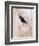 Close-Up of a Horse?S Eye, Lapland, Finland-Nadia Isakova-Framed Photographic Print