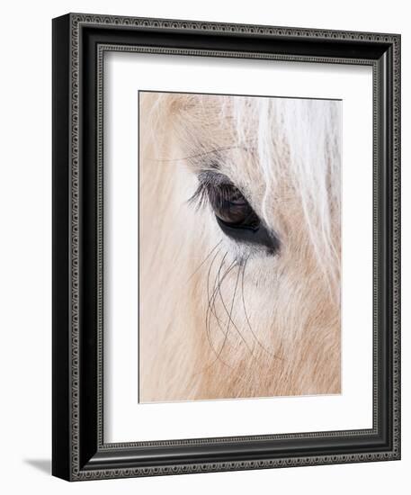 Close-Up of a Horse?S Eye, Lapland, Finland-Nadia Isakova-Framed Photographic Print