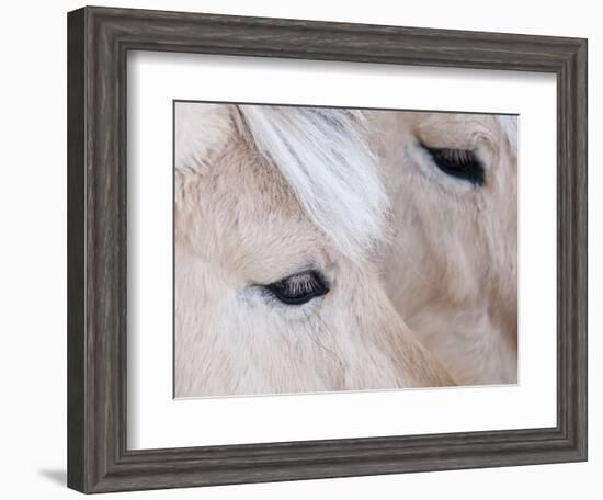 Close-Up of a Horse?S Eye, Lapland, Finland-Nadia Isakova-Framed Photographic Print