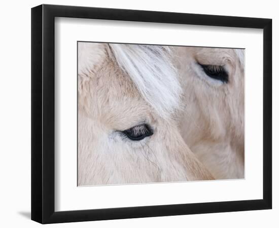 Close-Up of a Horse?S Eye, Lapland, Finland-Nadia Isakova-Framed Photographic Print