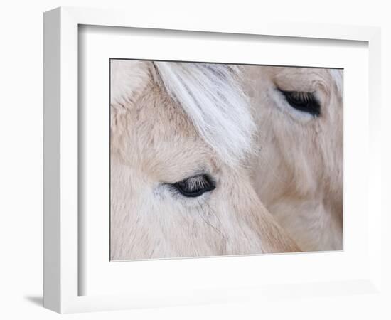 Close-Up of a Horse?S Eye, Lapland, Finland-Nadia Isakova-Framed Photographic Print