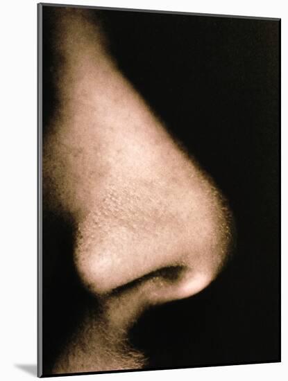 Close-up of a Human Nose In Side View-Cristina-Mounted Photographic Print