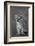 Close-up of a lion cub standing, Ngorongoro Crater, Ngorongoro Conservation Area, Tanzania (Pant...-null-Framed Photographic Print