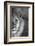 Close-up of a lion, Ngorongoro Conservation Area, Arusha Region, Tanzania (Panthera leo)-null-Framed Photographic Print