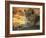 Close-up of a Lion (Panthera Leo), Mashatu Game Reserve, Botswana, Africa-Sergio Pitamitz-Framed Photographic Print