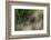 Close-up of a lion's muzzle, Panthera leo. Mala Mala Game Reserve, South Africa.-Sergio Pitamitz-Framed Photographic Print