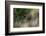 Close-up of a lion's muzzle, Panthera leo. Mala Mala Game Reserve, South Africa.-Sergio Pitamitz-Framed Photographic Print