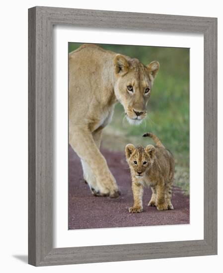 Close-up of a Lioness and Her Cub, Ngorongoro Crater, Ngorongoro Conservation Area-null-Framed Photographic Print