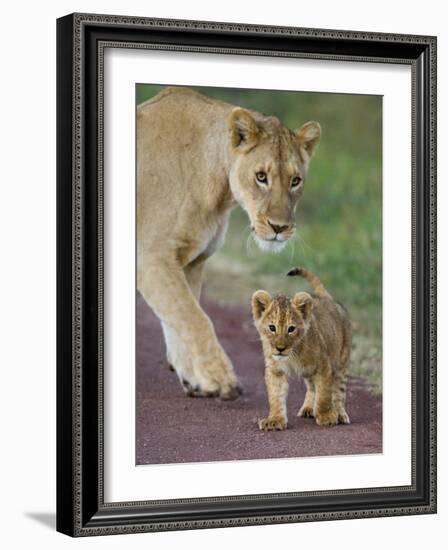 Close-up of a Lioness and Her Cub, Ngorongoro Crater, Ngorongoro Conservation Area-null-Framed Photographic Print