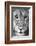 Close-up of a lioness (Panthera leo), Tarangire National Park, Tanzania-null-Framed Photographic Print