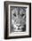 Close-up of a lioness (Panthera leo), Tarangire National Park, Tanzania-null-Framed Photographic Print