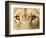 Close-Up of a Lioness-Martin Harvey-Framed Photographic Print