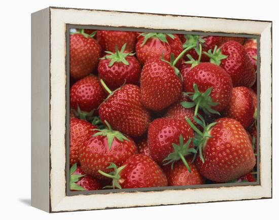 Close-Up of a Number of Red Strawberries in Kent, England, United Kingdom, Europe-Michael Busselle-Framed Premier Image Canvas