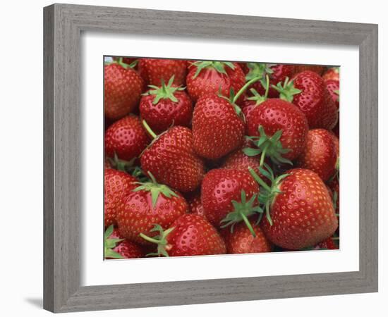 Close-Up of a Number of Red Strawberries in Kent, England, United Kingdom, Europe-Michael Busselle-Framed Photographic Print