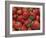 Close-Up of a Number of Red Strawberries in Kent, England, United Kingdom, Europe-Michael Busselle-Framed Photographic Print