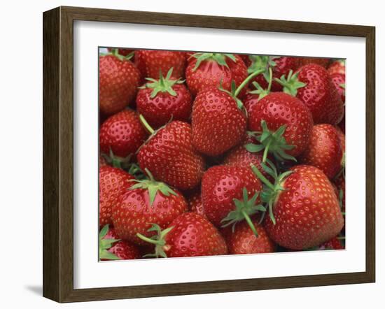 Close-Up of a Number of Red Strawberries in Kent, England, United Kingdom, Europe-Michael Busselle-Framed Photographic Print