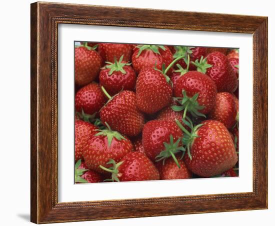 Close-Up of a Number of Red Strawberries in Kent, England, United Kingdom, Europe-Michael Busselle-Framed Photographic Print