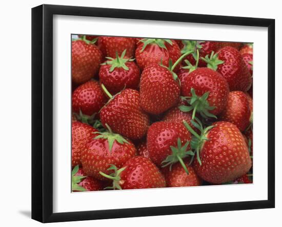 Close-Up of a Number of Red Strawberries in Kent, England, United Kingdom, Europe-Michael Busselle-Framed Photographic Print