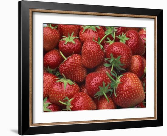 Close-Up of a Number of Red Strawberries in Kent, England, United Kingdom, Europe-Michael Busselle-Framed Photographic Print