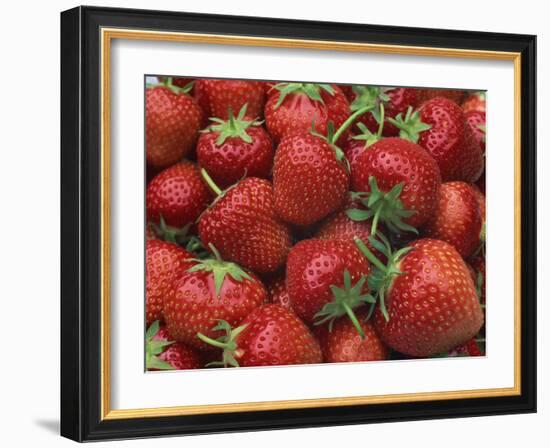 Close-Up of a Number of Red Strawberries in Kent, England, United Kingdom, Europe-Michael Busselle-Framed Photographic Print