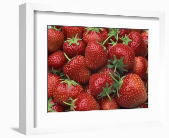 Close-Up of a Number of Red Strawberries in Kent, England, United Kingdom, Europe-Michael Busselle-Framed Photographic Print