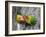 Close-Up of a Pair of Lovebirds, Ndutu, Ngorongoro, Tanzania-null-Framed Photographic Print