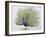 Close-Up of a Peacock Dancing (Balearica Regulorum)-null-Framed Giclee Print