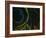 Close-up of a Peacock Feather-null-Framed Photographic Print