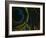 Close-up of a Peacock Feather-null-Framed Photographic Print