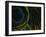 Close-up of a Peacock Feather-null-Framed Photographic Print