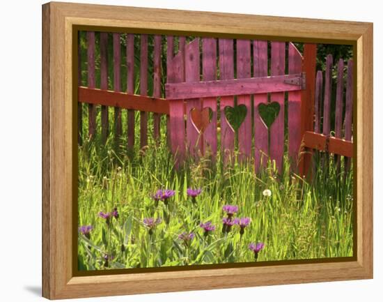 Close-up of a Picket Fence Gate-null-Framed Premier Image Canvas