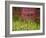 Close-up of a Picket Fence Gate-null-Framed Photographic Print