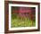 Close-up of a Picket Fence Gate-null-Framed Photographic Print