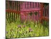 Photographic Print