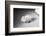 Close-Up of a Piggy Bank-Philip Gendreau-Framed Photographic Print