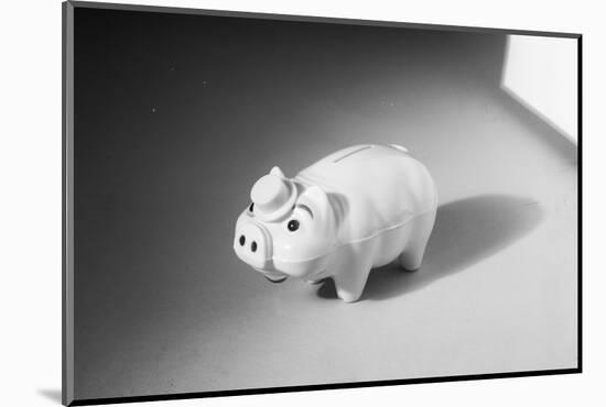 Close-Up of a Piggy Bank-Philip Gendreau-Mounted Photographic Print