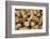 Close-Up of a Pile of Wine Cork Collection-Bill Bachmann-Framed Photographic Print