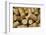 Close-Up of a Pile of Wine Cork Collection-Bill Bachmann-Framed Photographic Print