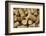 Close-Up of a Pile of Wine Cork Collection-Bill Bachmann-Framed Photographic Print