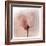 Close Up of a Pink Flower-Trigger Image-Framed Photographic Print