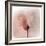 Close Up of a Pink Flower-Trigger Image-Framed Photographic Print