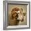 Close up of a Ram with large horns-Mark Gemmell-Framed Photographic Print