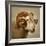 Close up of a Ram with large horns-Mark Gemmell-Framed Photographic Print