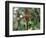 Close-up of a Rare Orchid Flower, Borneo, Asia-James Gritz-Framed Photographic Print