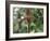 Close-up of a Rare Orchid Flower, Borneo, Asia-James Gritz-Framed Photographic Print