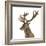 Close-Up of a Red Deer Stag in Front of a White Background-Life on White-Framed Photographic Print
